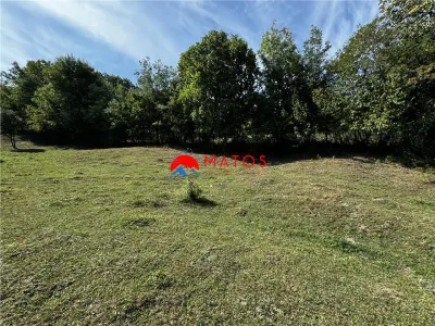 TEREN INTRAVILAN DE VÂNZARE ÎN POIANA CÂMPINA | 3.526 MP | - foto 6