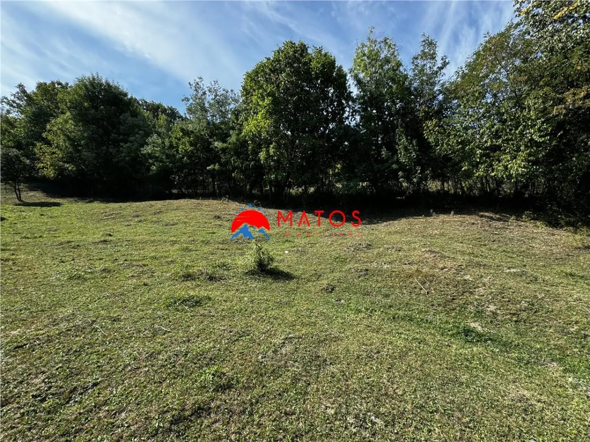 TEREN INTRAVILAN DE VÂNZARE ÎN POIANA CÂMPINA | 3.526 MP | - foto 6
