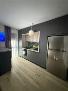 Inchiriere apartament  2 camere zona  Ultracentral - foto 5