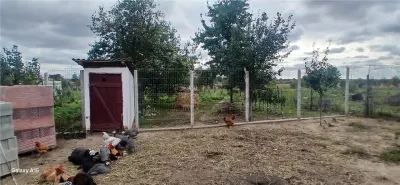 RECO Casa cu teren mare in Diosig - foto 8