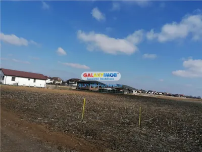 Teren intravilan 22000 mp Balotesti str Fabricii cu utiltati - Balotesti