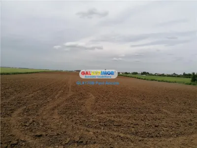 Teren intravilan 22000 mp Balotesti str Fabricii cu utiltati - foto 3