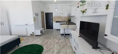 Garsoniera moderna si spatioasa - foto 4