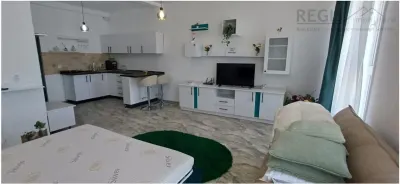Garsoniera moderna si spatioasa - foto 7