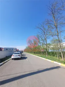 Teren Intravilan Valu lui Traian, 3 Loturi a cate 311 mp - foto 4