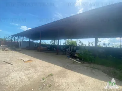 Hala industriala Navodari, Constanta - foto 8