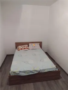 Apartament 2 camere zona Vest - foto 3