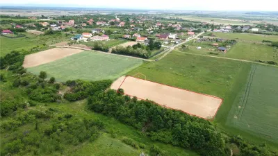 Teren intravilan 2.935 mp in Viile Satu Mare | Aproape de padure - Viile Satu Mare