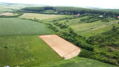 Teren intravilan 2.935 mp in Viile Satu Mare | Aproape de padure - foto 2