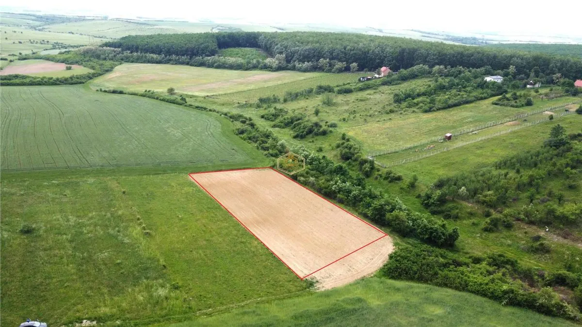 Teren intravilan 2.935 mp in Viile Satu Mare | Aproape de padure - foto 2