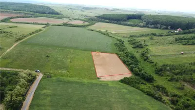 Teren intravilan 2.935 mp in Viile Satu Mare | Aproape de padure - foto 3