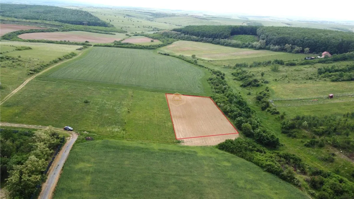 Teren intravilan 2.935 mp in Viile Satu Mare | Aproape de padure - foto 3