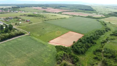 Teren intravilan 2.935 mp in Viile Satu Mare | Aproape de padure - foto 4