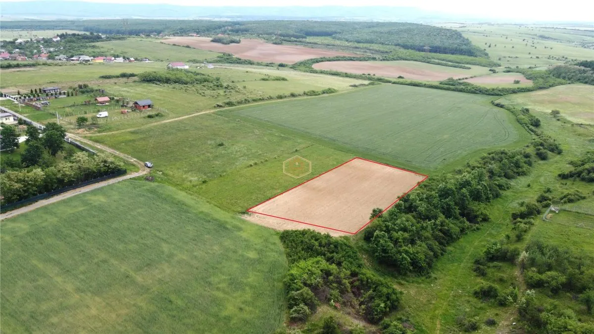 Teren intravilan 2.935 mp in Viile Satu Mare | Aproape de padure - foto 4