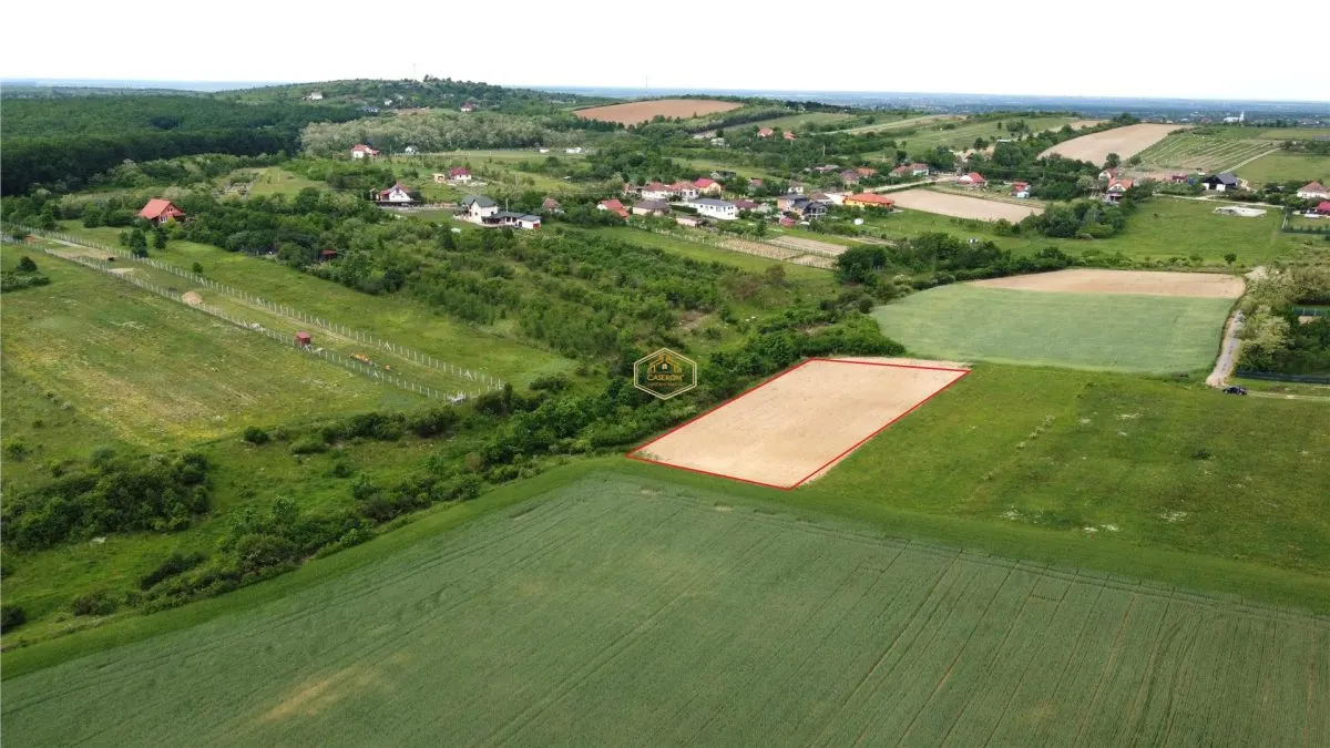 Teren intravilan 2.935 mp in Viile Satu Mare | Aproape de padure - foto 5