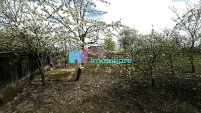 Casa in Dumbraveni - foto 7