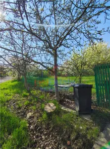 UAT Iasi - Trecatoarea Paun - ideal pentru casa - Bucium 750mp - foto 3