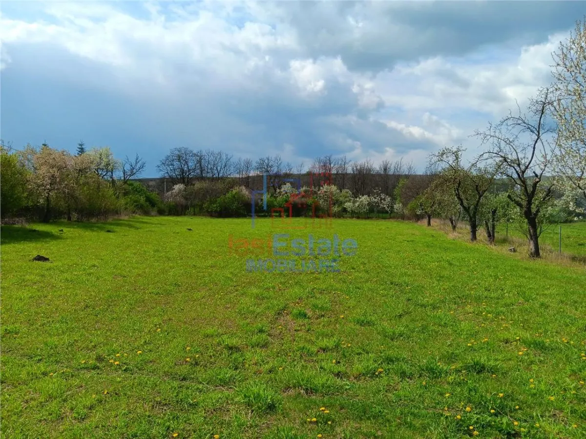 Badeni central com Scobinti  Iasi Teren 3000mp  parcelat  toate utilitatile - foto 5