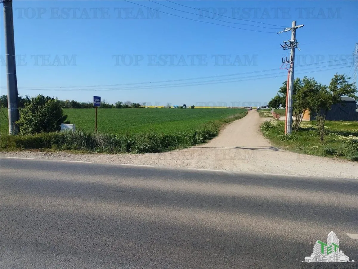 Teren intravilan - vanzare - Calarasi - Frumusani - foto 2
