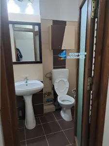 de inchiriat ap 2 cam fratii golesti- Lidl - foto 8