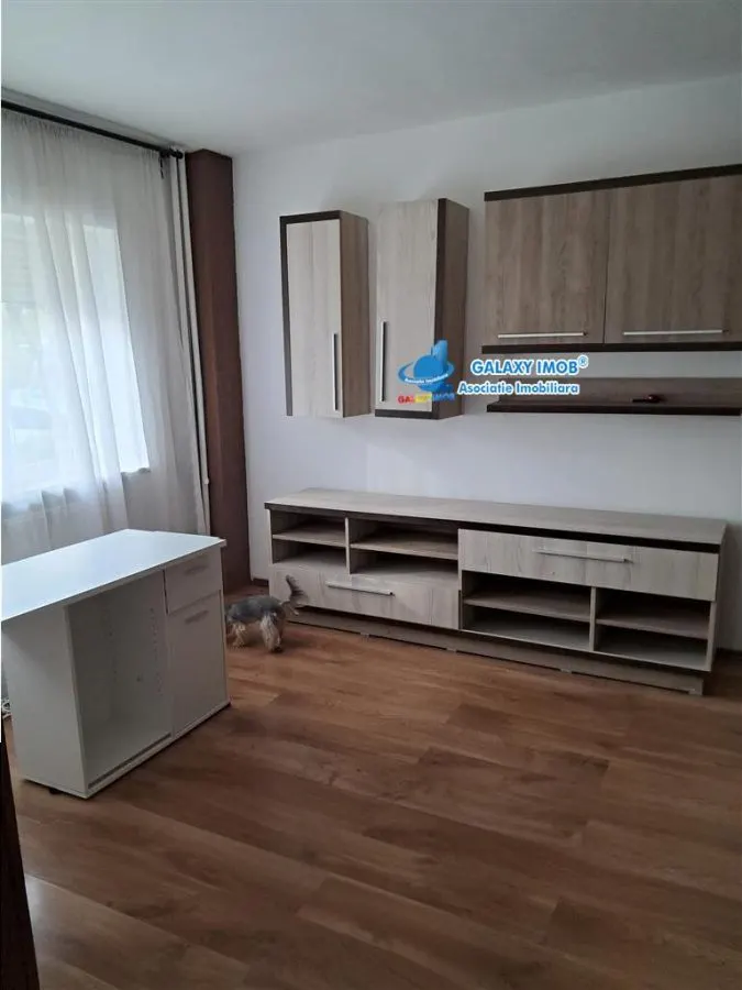 de inchiriat ap 2 cam fratii golesti- Lidl - foto 10