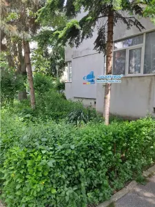 De Inch ap 2 cam parter  Popa sapca - foto 18