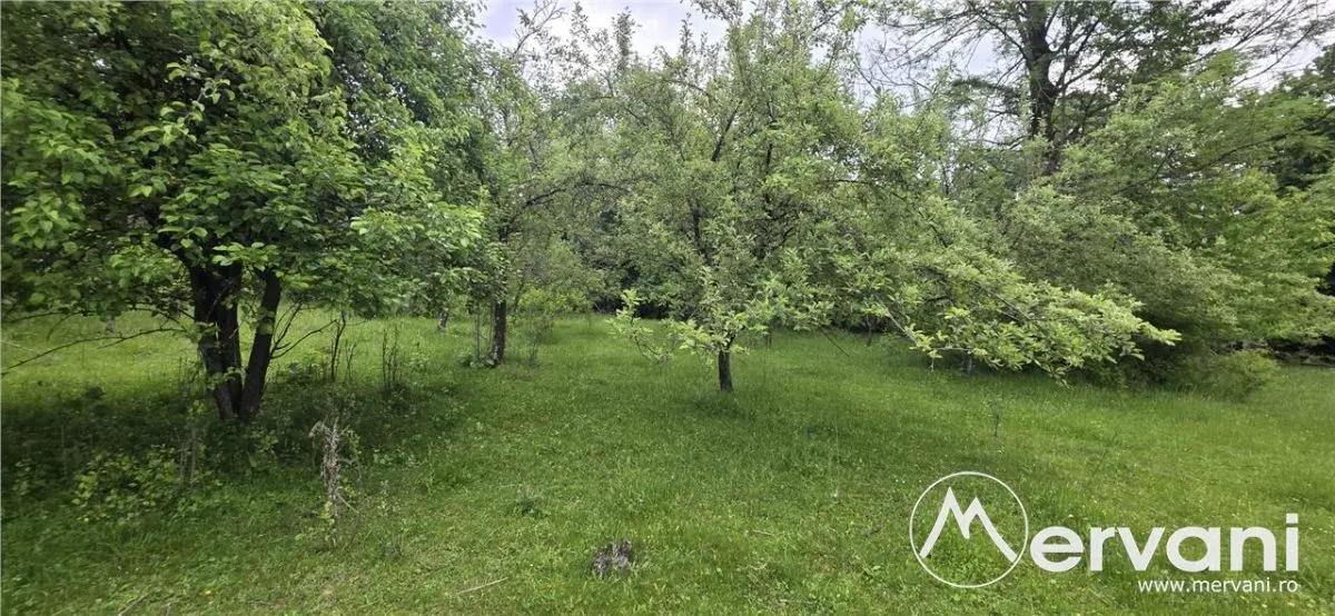Teren de vanzare in Breaza, Nistoresti - foto 4