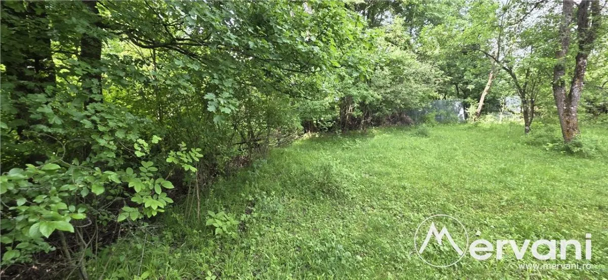 Teren de vanzare in Breaza, Nistoresti - foto 5