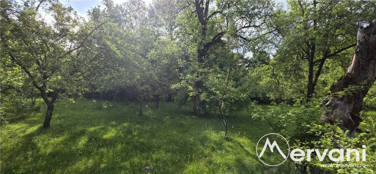 Teren de vanzare in Breaza, Nistoresti - foto 10