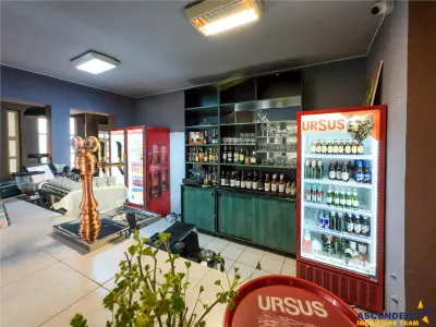 FILM! Potential Imobiliar remarcabil, recomandat domeniului Petrolier & HoReCa, DN11 - foto 7