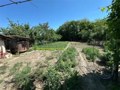 Casa Cocheta, Locuibila imediat,  cu Gradina si Curte,1500mp., Com.Birda. - foto 22