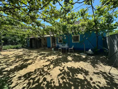 Casa Cocheta, Locuibila imediat,  cu Gradina si Curte,1500mp., Com.Birda. - foto 25
