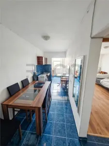 RECO Apartament 1 camera Nufarul - foto 3