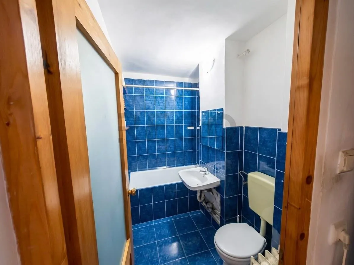 RECO Apartament 1 camera Nufarul - foto 5