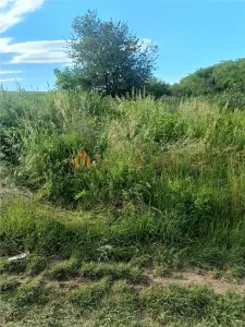 Teren de vanzare Valea Lungă - Holboca - foto 2