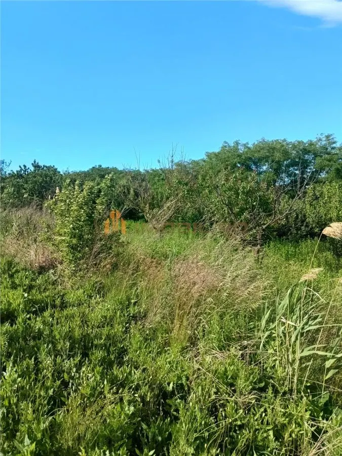 Teren de vanzare Valea Lungă - Holboca - foto 3