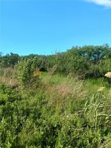 Teren Valea Lunga - poza 5