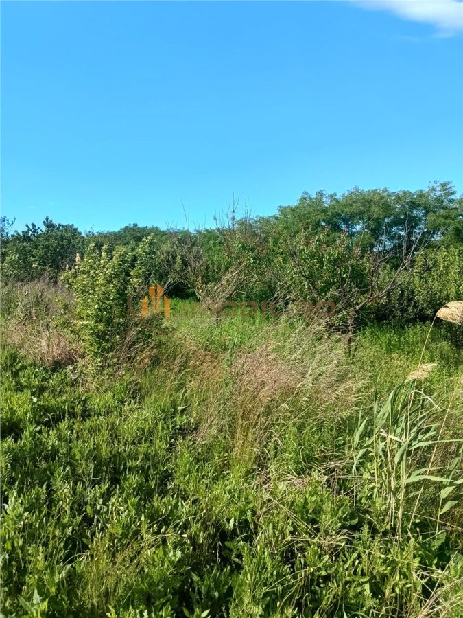 Teren de vanzare Valea Lungă - Holboca - foto 5