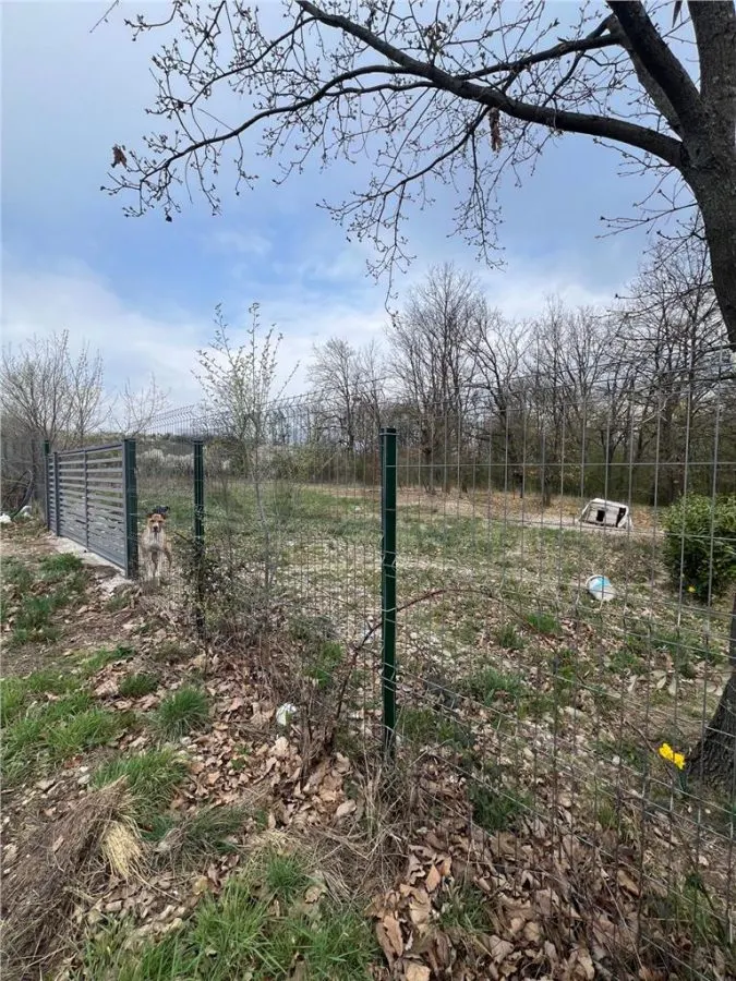 RECO Teren intravilan, loc de casa sau investitie  Saldabagiu de Munte - foto 2