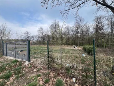 RECO Teren intravilan, loc de casa sau investitie  Saldabagiu de Munte - foto 4