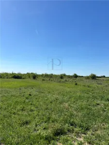 24 Terenuri- Mosnita Noua- TOATE UTILITATILE- zona in plina dezvoltare - foto 2