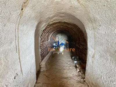TEREN INTRAVILAN CU PIVNITA | 884 MP | ZONA EPISCOPIA | ORADEA - foto 3
