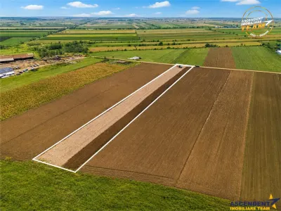 FILM! In areal apreciabil, acces facil, 4.200 mp  teren extravilan, Covasna - foto 4