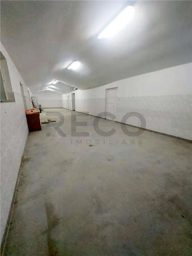 RECO Pensiune / azil cu 2 etaje si hala mare in Ineu de Cris - foto 24