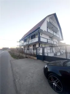 RECO Pensiune / azil cu 2 etaje si hala mare in Ineu de Cris - foto 6
