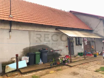 RECO Teren Mare cu 2 case in Biharia. - foto 21