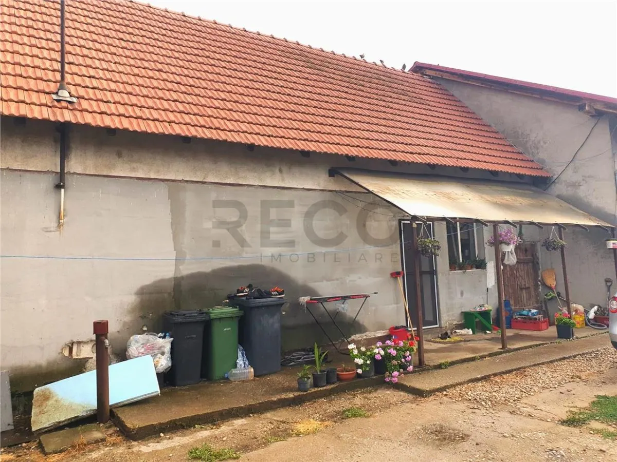 RECO Teren Mare cu 2 case in Biharia. - foto 21