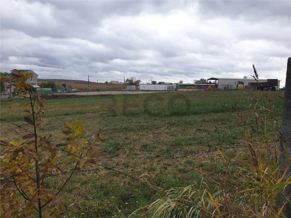 RECO Teren intravilan 900 mp Biharia - foto 2