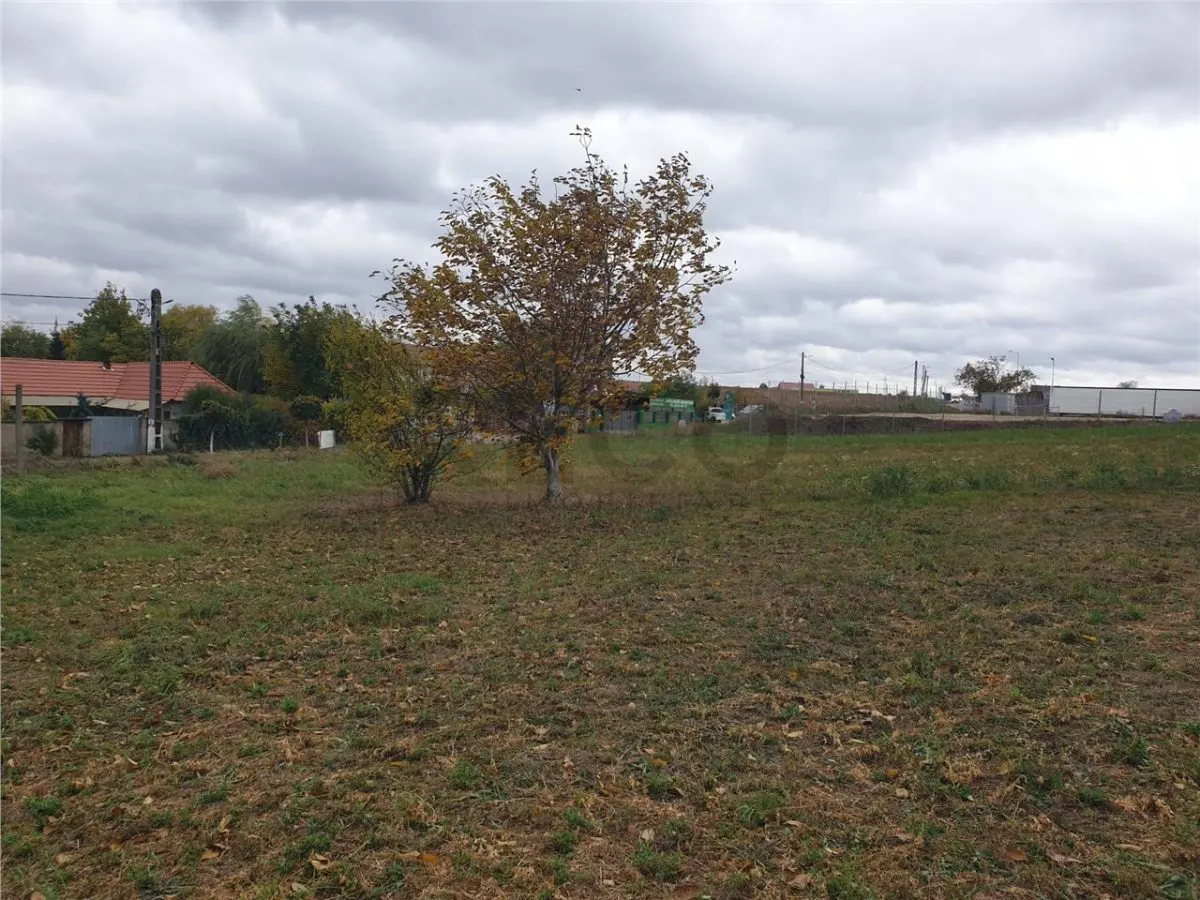 RECO Teren intravilan 900 mp Biharia - foto 3