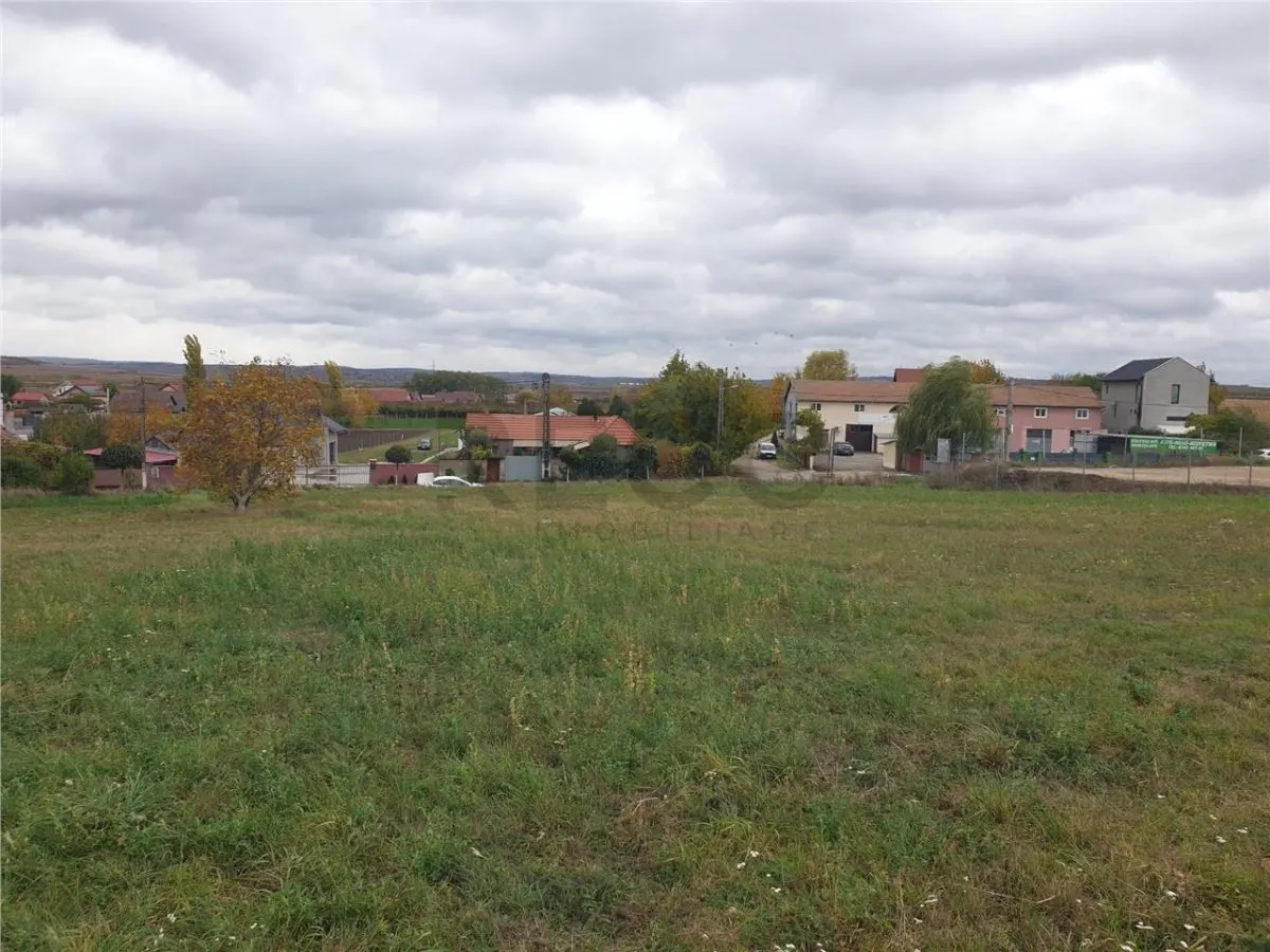 RECO Teren intravilan 900 mp Biharia - foto 4